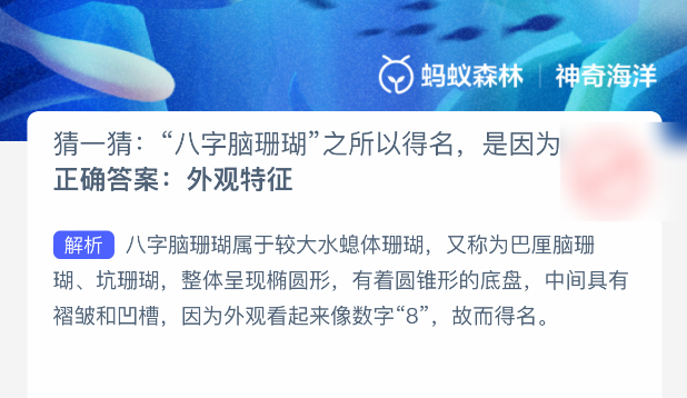 猜一猜八字脑珊瑚之所以得名_蚂蚁森林神奇海洋答案25年1月24日