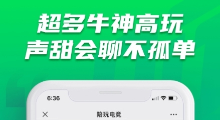 陪玩电竞2