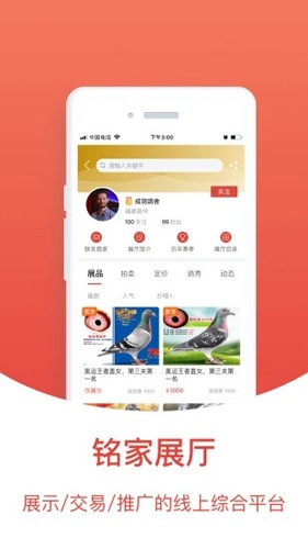 赛鸽头条安卓版2025版截图
