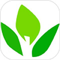 移植网app2025版