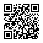 300大作战华为版