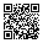 剑影乱武双端版