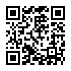 夜伴app2025版